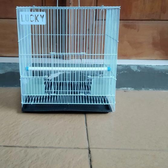 Kandang Sangkar Burung Lovebird Hamster Kecil Merk Lucky Khusus Biru - Ungu