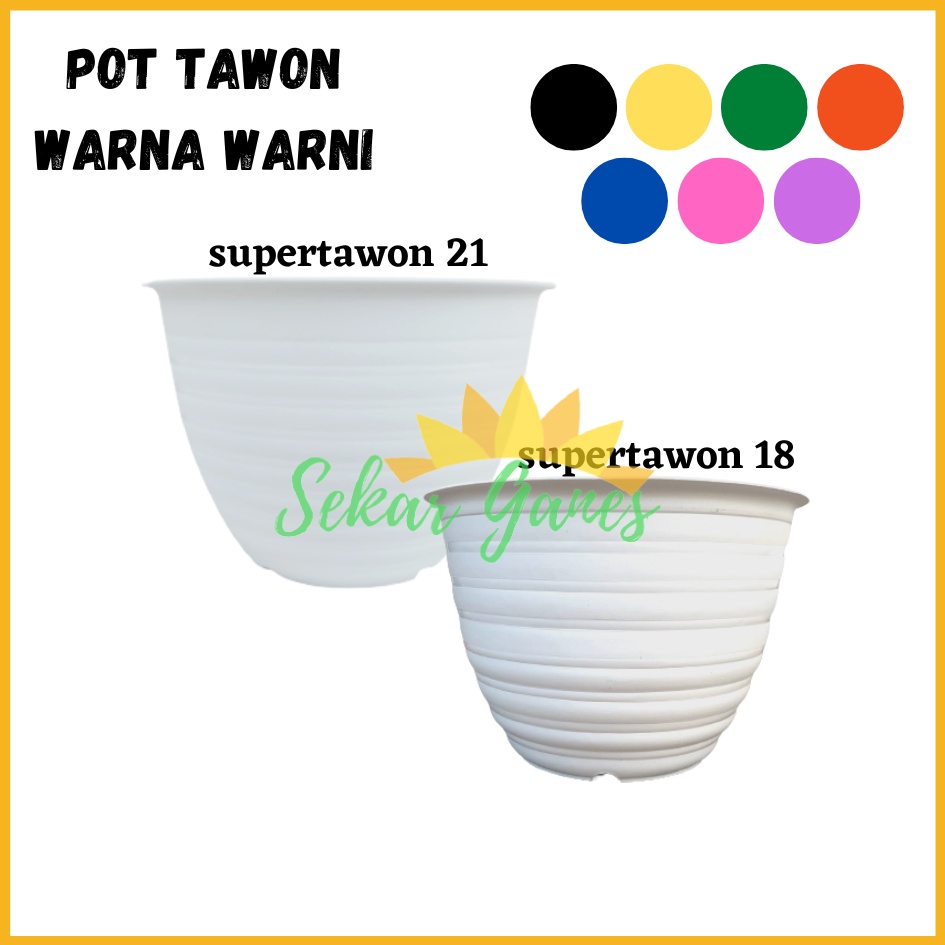 POT 18 dan 21 TANAMAN BUNGA TAWON PUTIH WARNA DAN TRANSPARAN PROMO TERMURAH