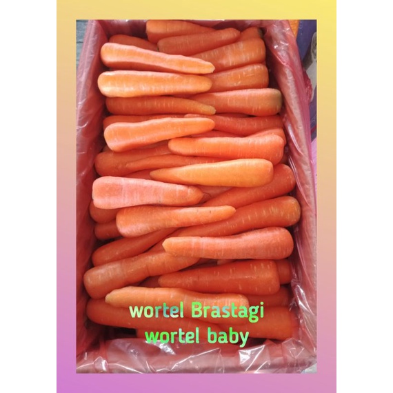 

wortel import/wortel Berastagi 1kg