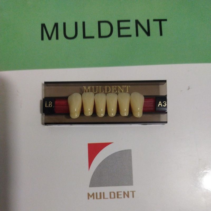 GIGI PALSU / GIGI MULDENT - DEPAN BAWAH / PER BARIS ISI 6PCS / UKURAN L8 : A3