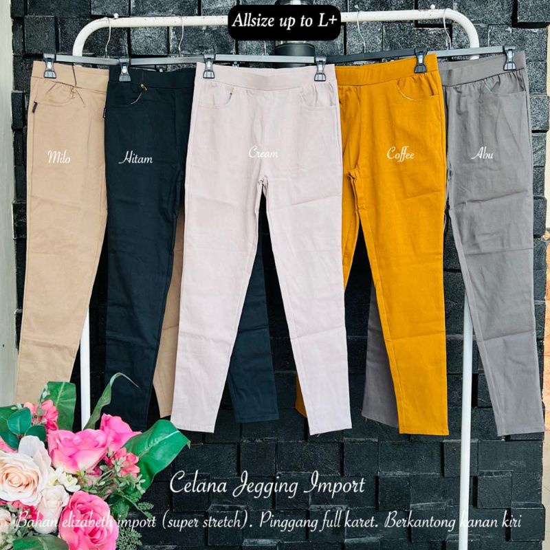 Celana Jegging Import L+ /JF554