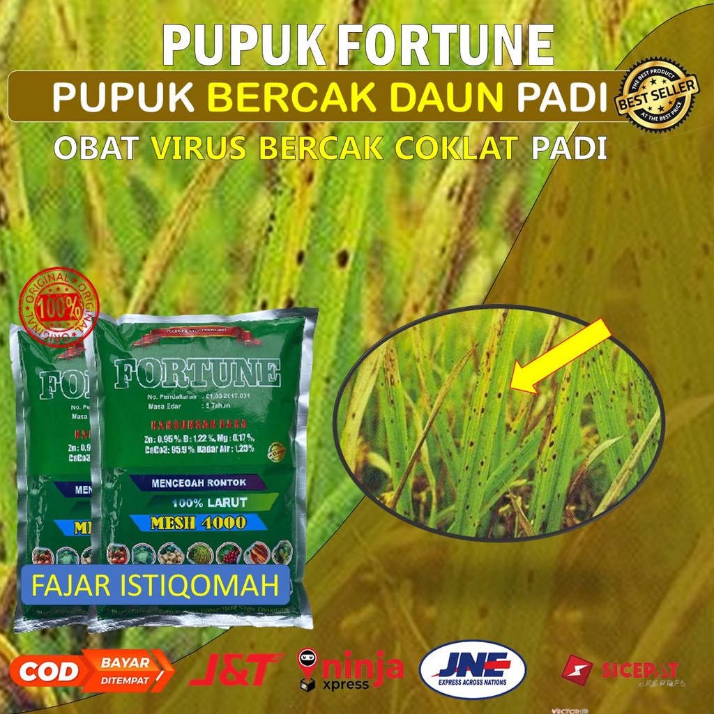 PUPUK FORTUNE  PUPUK PADI TERLARIS (1 kg) - pupuk padi sawah TERBAIK - obat virus bercak coklat padi