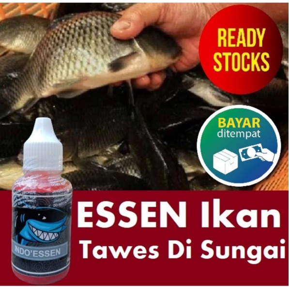 Essen Ikan Tawes Sungai Paling Ampuh Mancing Siang Malam 30ML
