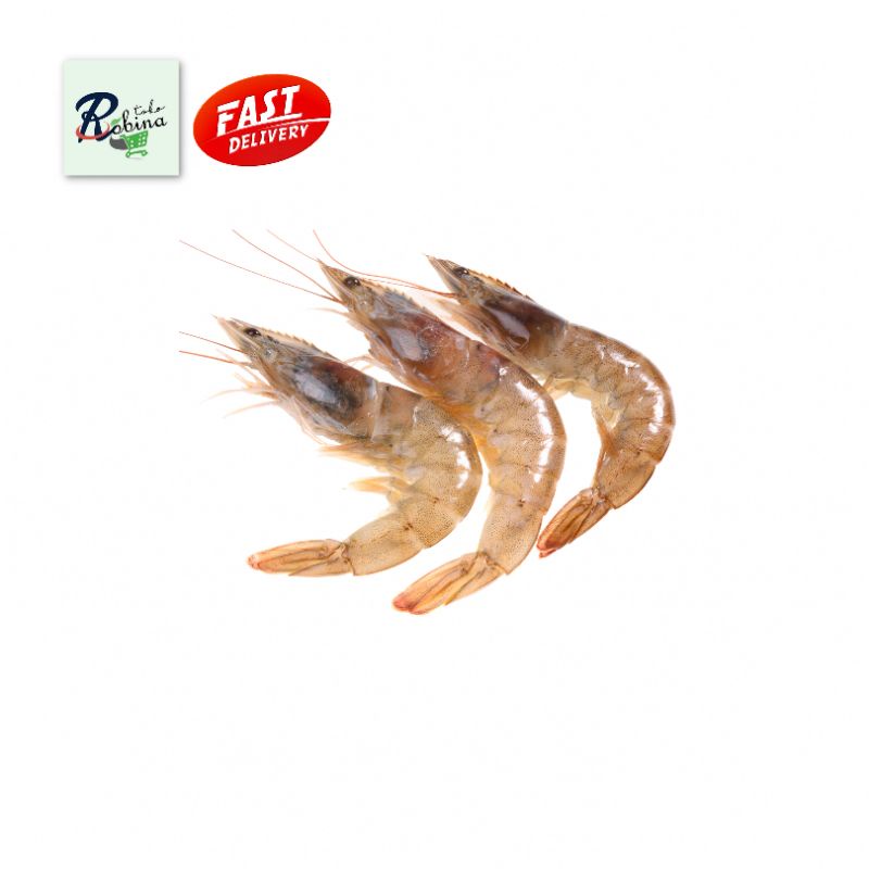 

Ikan Udang Segar 500 gr