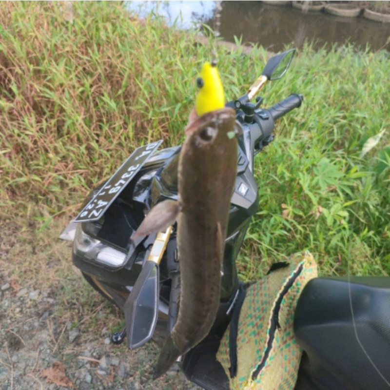 Burung Soft Lure 4.Cm. Untuk Umpan Casting