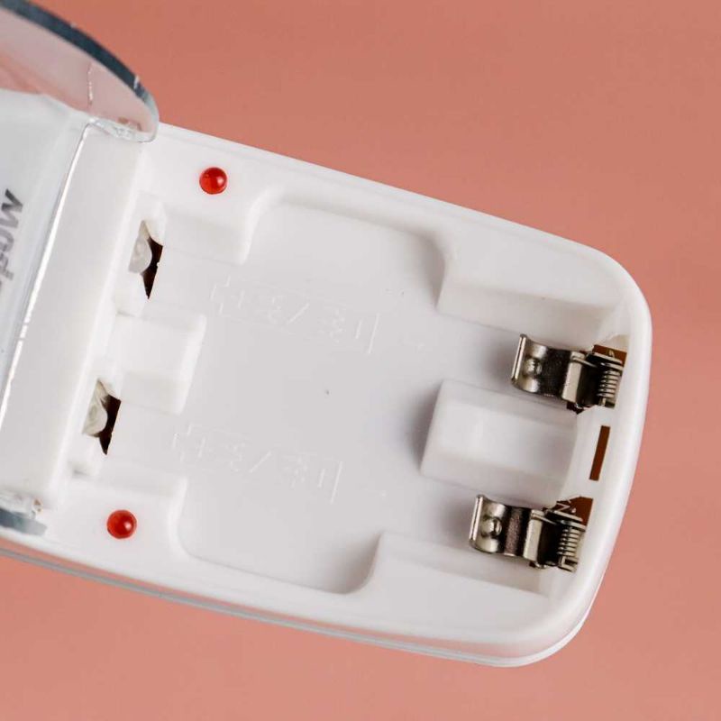 DOUBLEPOW Charger Baterai 2 slot AA/AAA with 2PCS AAA 900mAh - DP-B01