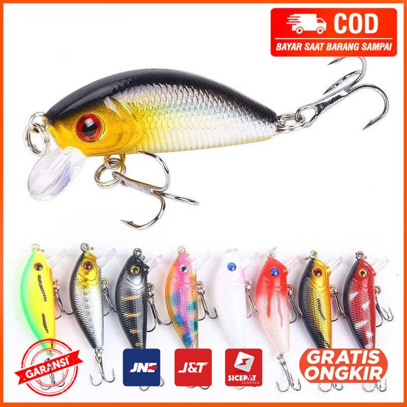 Umpan Pancing Ikan Mas Carp Crankbait Minnow Lure LD07