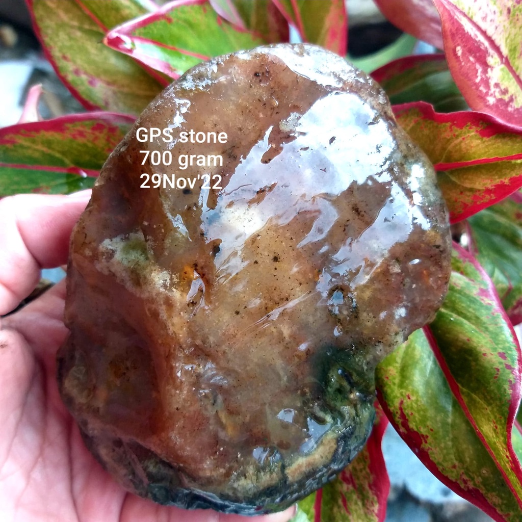 PROMO  BONGKAHAN BADAR LUMUT AKIK SUPER / ROUGH SUPER KRISTAL / Rough Bahan Batu BADAR LUMUT SUPER a