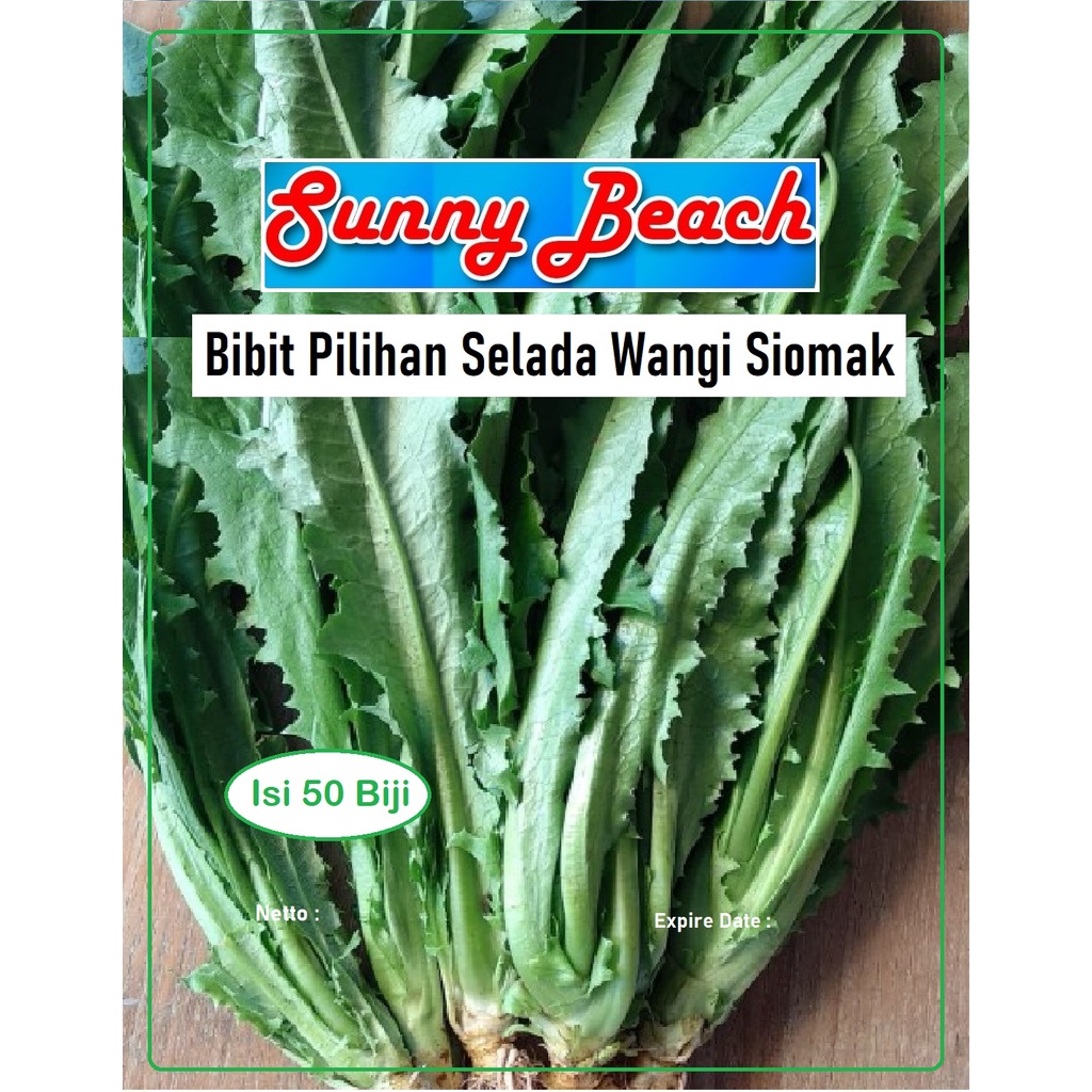Bibit Pilihan Selada Wangi Siomak | Biji Benih Selada Wangi Siomak
