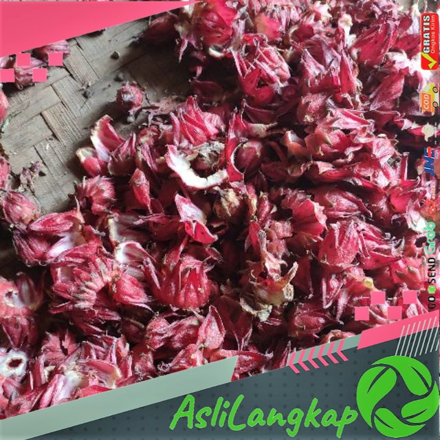 

Obat Herbal Bunga Rosela