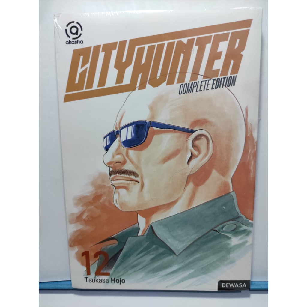 Akasha: City Hunter - Complete Edition 12