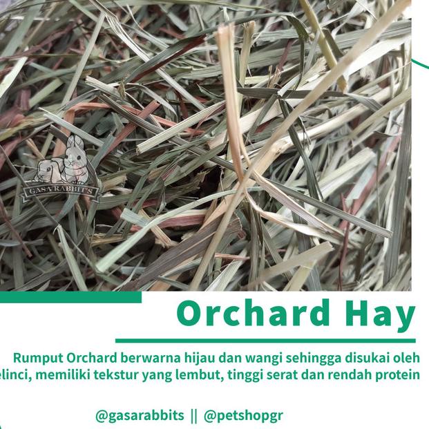RUMPUT HAY KELINCI - OXBOW HAY - ORCHARD HAY - TIMOTHY HAY - HAY OXBOW - ORCHARD HAY