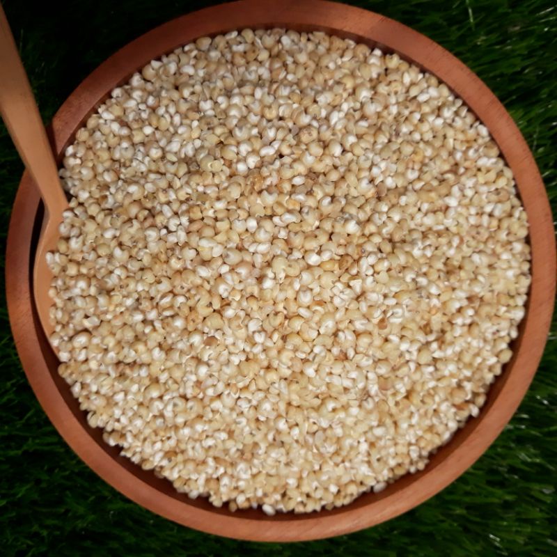 

ADY78 Beras Sorgum Sosoh FRESH Langsung Dari Petani I Sorghum I 1kg Vacuum