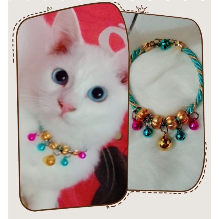 kalung kucing deep blue mewah