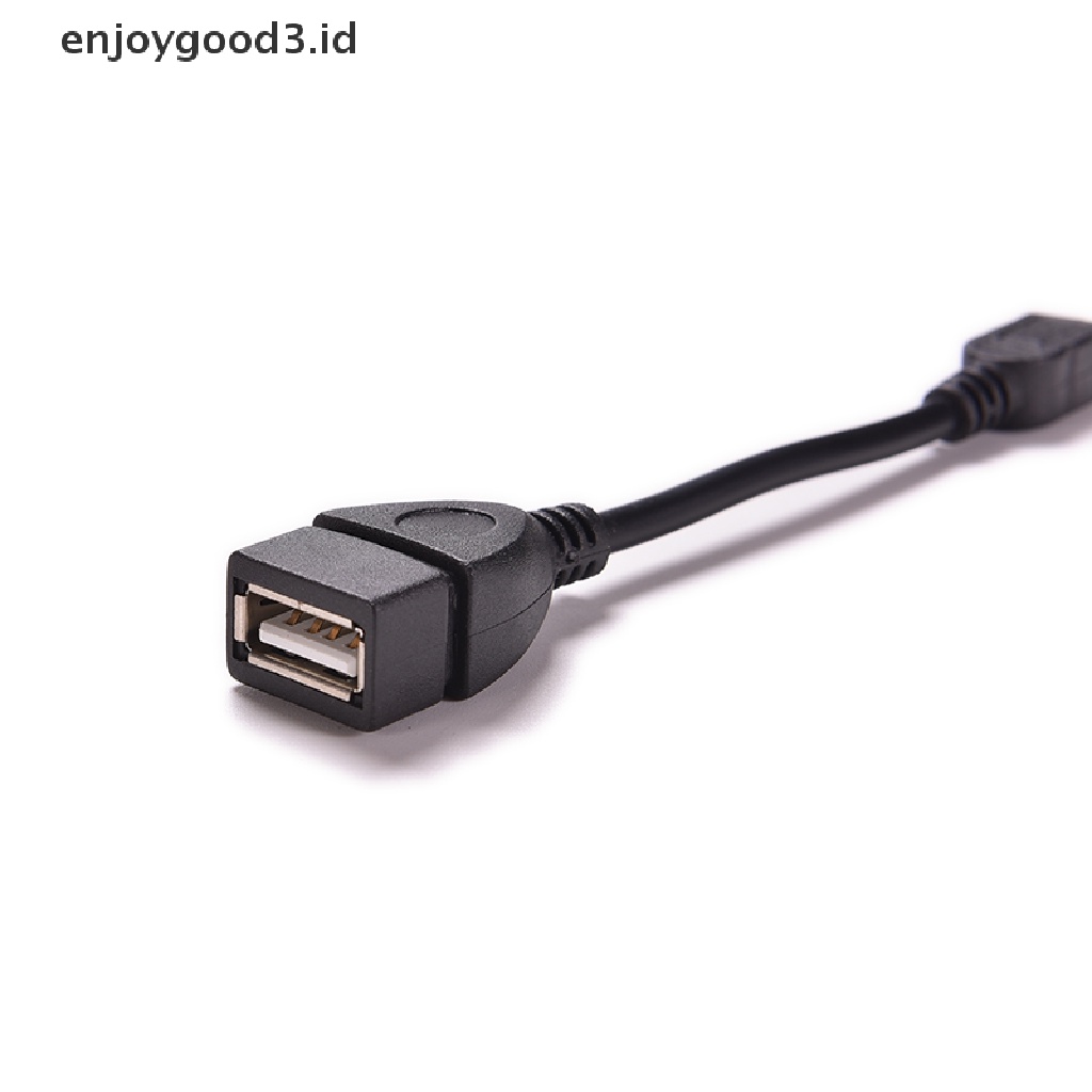 Kabel Adapter Mini 5p Male Ke USB 2.0 Tipe A Female Jack OTG Host