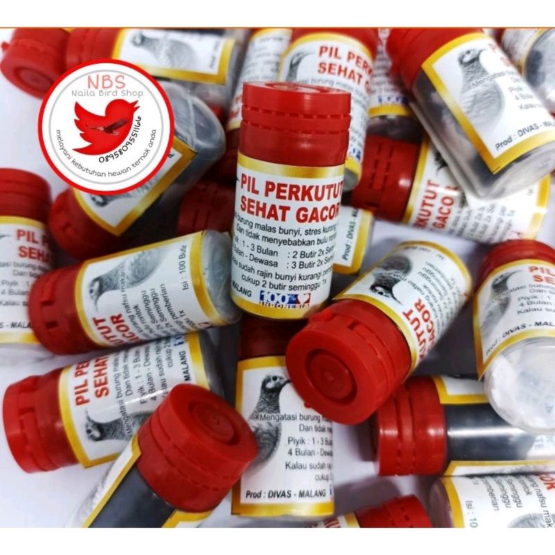 PIL PERKUTUT SEHAT GACOR DIVAS MALANG pil sehat gacor