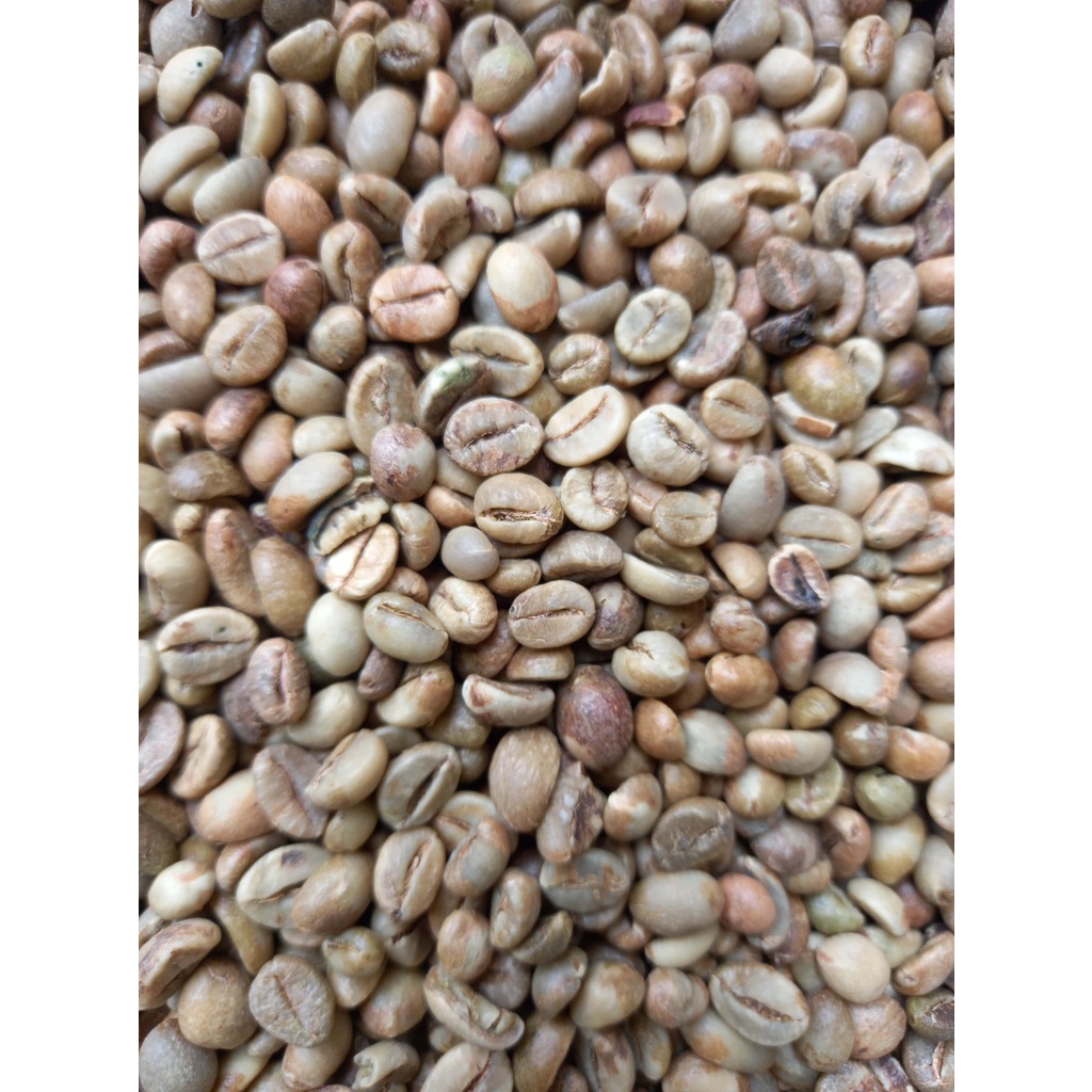 

Kopi Biji/Green Bean Robusta Sidikalang 1 KG