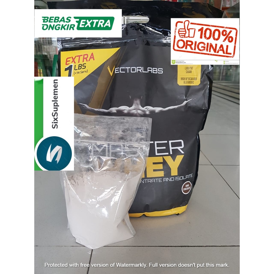 (Bonus Sample) VectorLabs Master Whey Protein Concentrate 1 lbs (450 Gram)