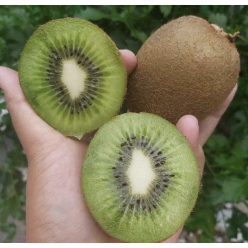 

Buah kiwi green 500gr Termurah dikota medan