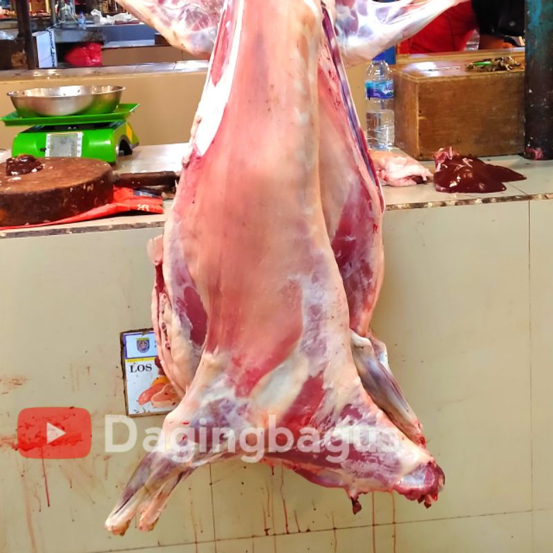 Daging Kambing Fresh