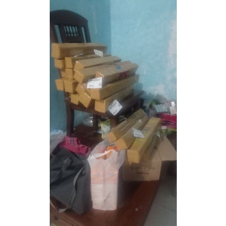 ID BIBIT CANGKOK KONDISI SUDAH BERBUAH. BIBIT POHON BUAH TIN ARA FIG. BUAH SURGA. BIBIT BUAH TIN