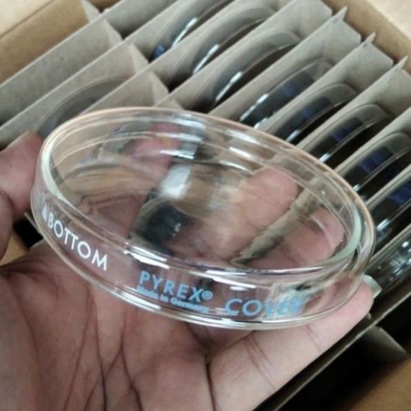 Cawan Petri 100x15 PYREX
