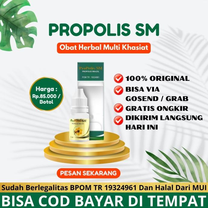 

Sale Obat Tetes Telinga Saraf Pendengaran, Gangguan Pendengaran PROPOLIS SM /OBAT TELINGA BERDENGUNG/OBAT TELINGA BERAIR/OBAT TELINGA TERSUMBAT/OBAT TELINGA BUDEG/OBAT TELINGA BERNANAH