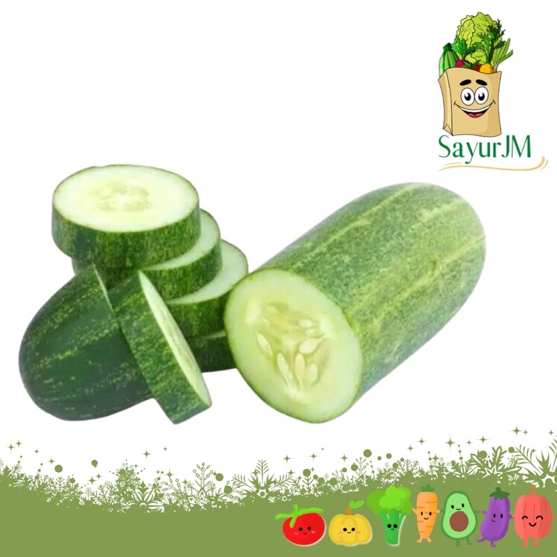 

SayurJM - Sayur Timun 500gr / Mentimun / Sayur Segar / Sayuran Segar