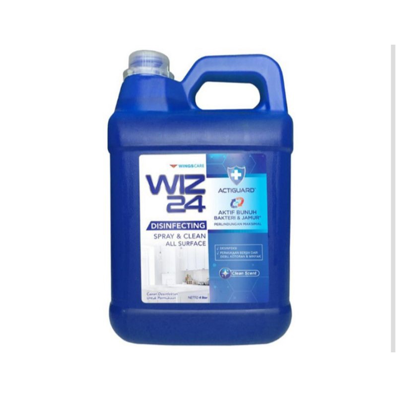 WIZ24_DISINFEKTAN