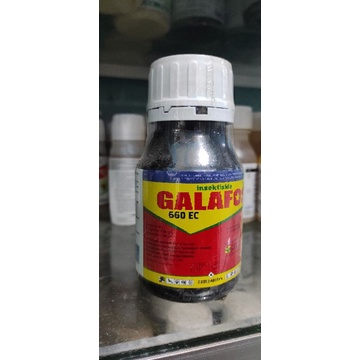 INSEKTISIDA GALAFOS 660 EC TRIPS CABAI