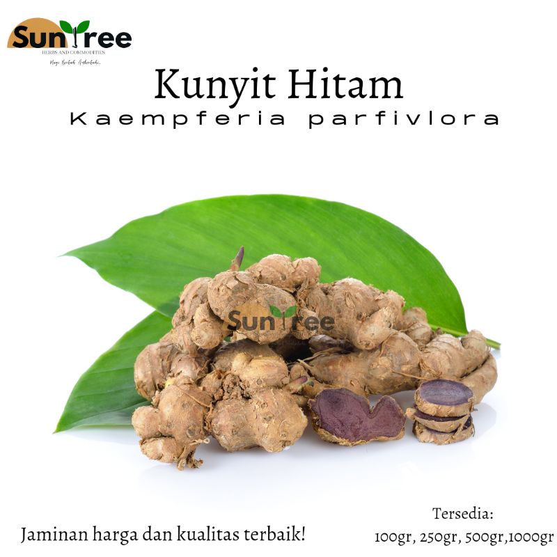 

KUNYIT HITAM ASLI 100gr