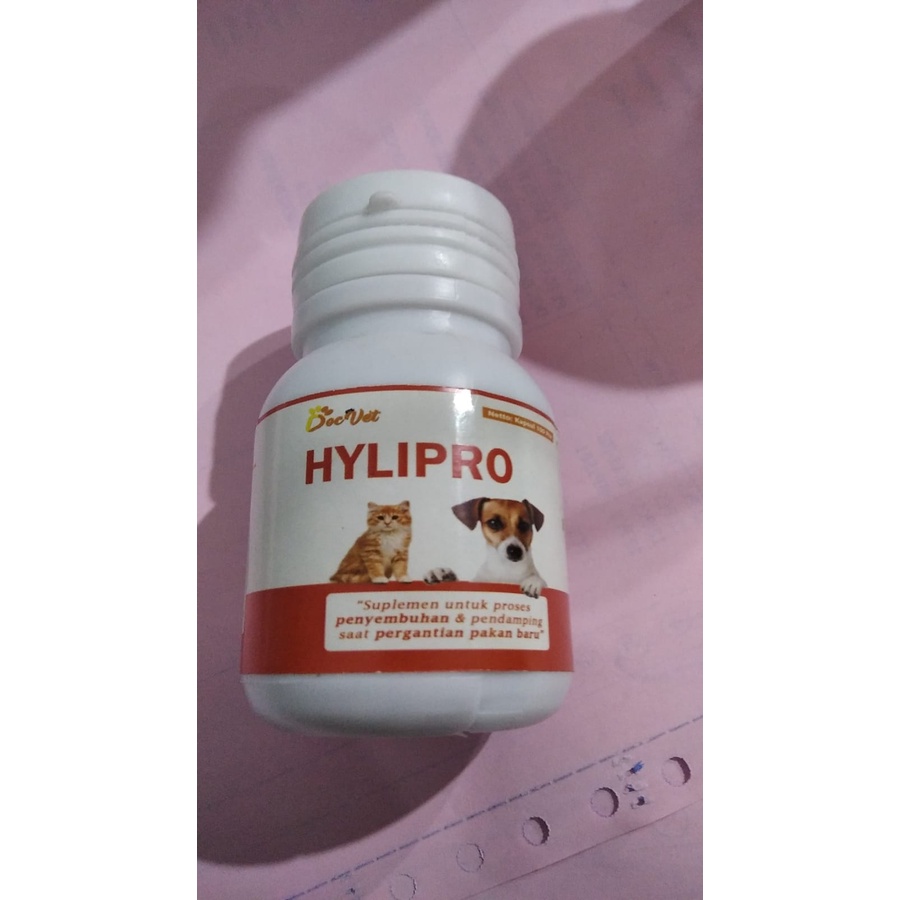 HYLIPRO SUPLEMEN PENYEMBUHAN DAN PENDAMPING ANJING KUCING 50 GRAM