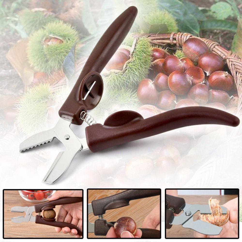 Solighter Chestnut Cutter Stainless Steel Klip Pembuka Dapur Castanea Mollissima Peeler