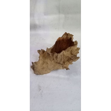 pot kayu unik , pot kayu erosi , pot kayu unik , pot tilandsia , pot anggrek ,media tanam anggrek , 