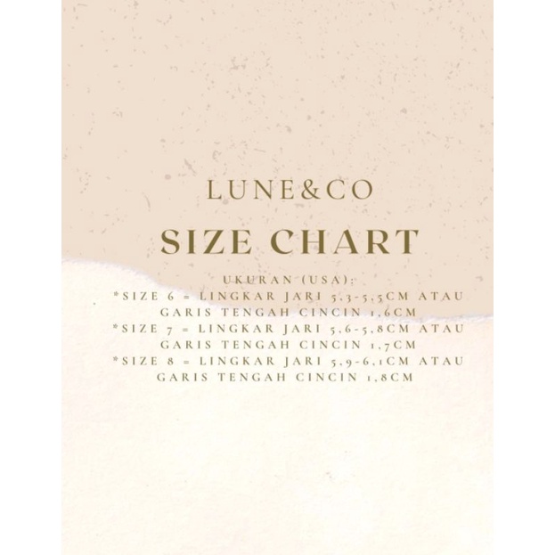 Cincin Pria Wanita Titanium Import CS261