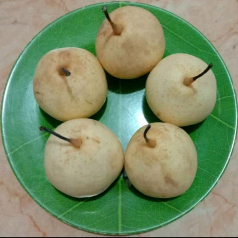 

Buah pir