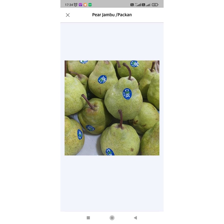 

Buah Pear Packham/ Pir Jambu Hijau manis 1kg Impor