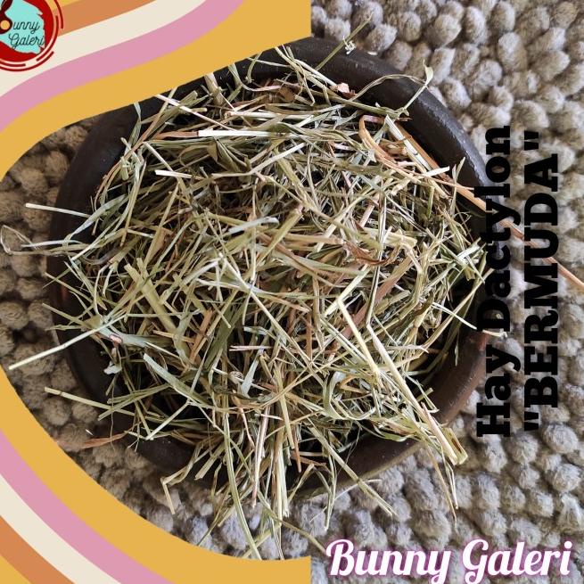 HAY DACTYLON "BERMUDA" kemasan 2 kg