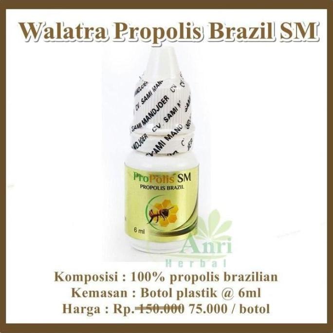 

Sale Propolis SM Obat Tetes Telinga Curek - Berair - Berdengung - Bernanah /OBAT TELINGA BERDENGUNG/OBAT TELINGA BERAIR/OBAT TELINGA TERSUMBAT/OBAT TELINGA BUDEG/OBAT TELINGA BERNANAH