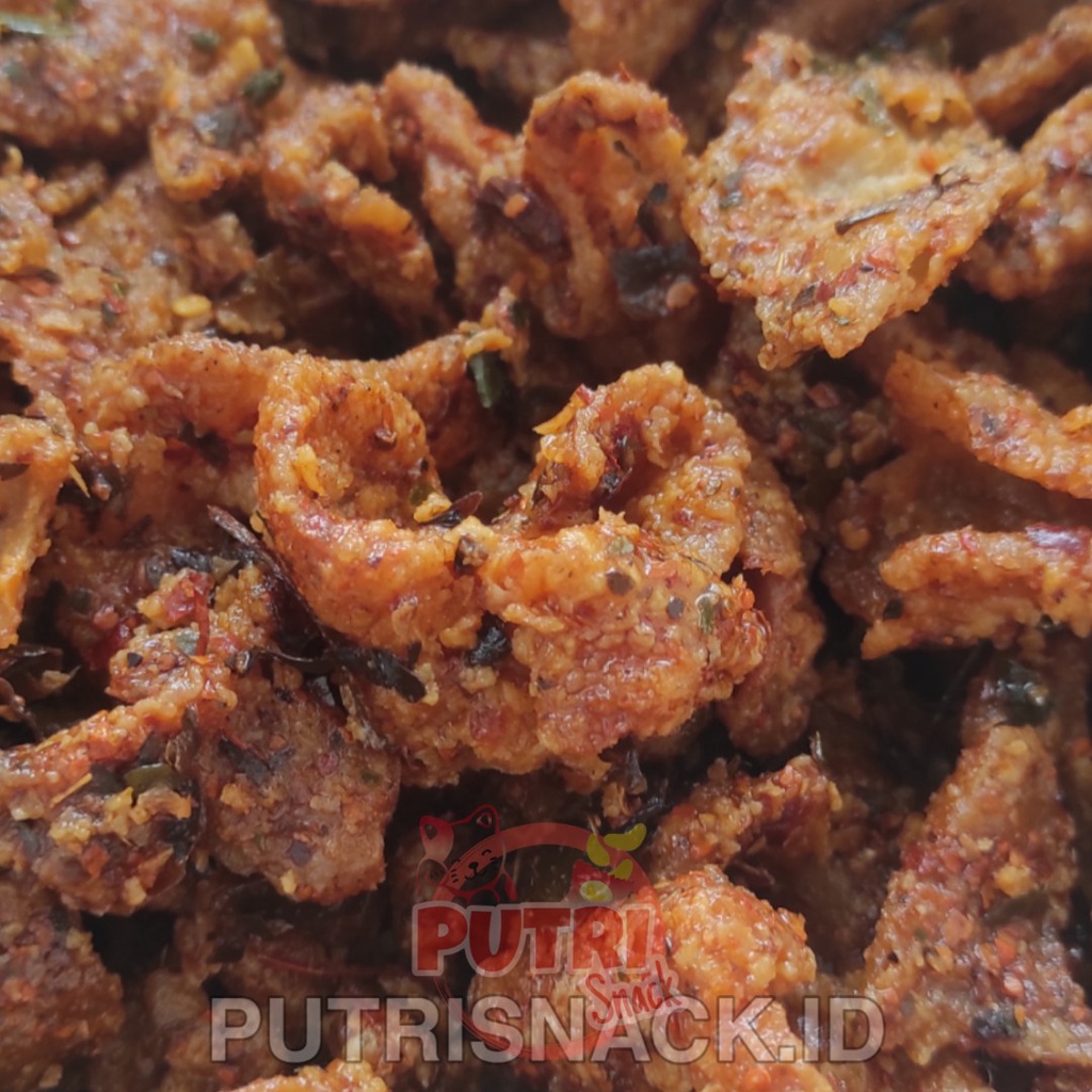 KERIPIK KULIT AYAM HALAL 100GR RENYAH BANYAK RASA