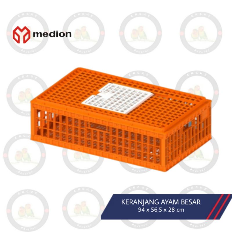 KERANJANG AYAM MEDION ORANGE UKURAN BESAR JUMBO ORIGINAL