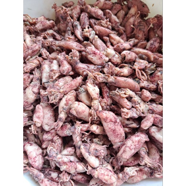 

BABY CUMI FRESH KEMASAN VACUM 500 GRAM