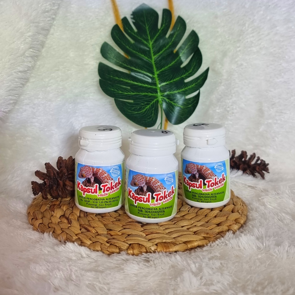 

HERBAL TOKEK MBAH MINAH / KAPSUL TOKEK / OBAT GATAL / KAPSUL TRADISIONAL