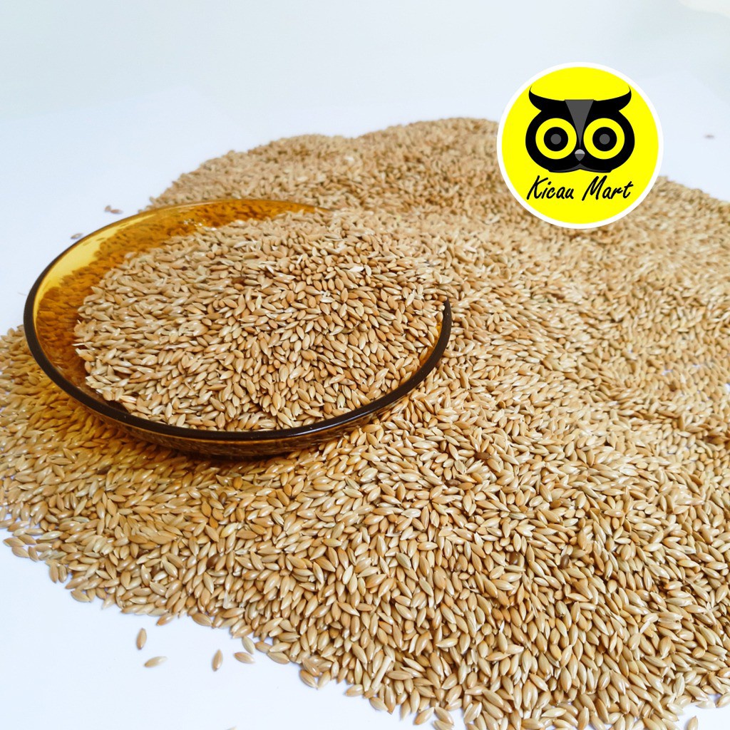 PAKAN BURUNG KENARI CANARY SEED VITA 500 GRAM MAKANAN HARIAN FINCH BRANJANGAN LOVEBIRD BIJI CSEED