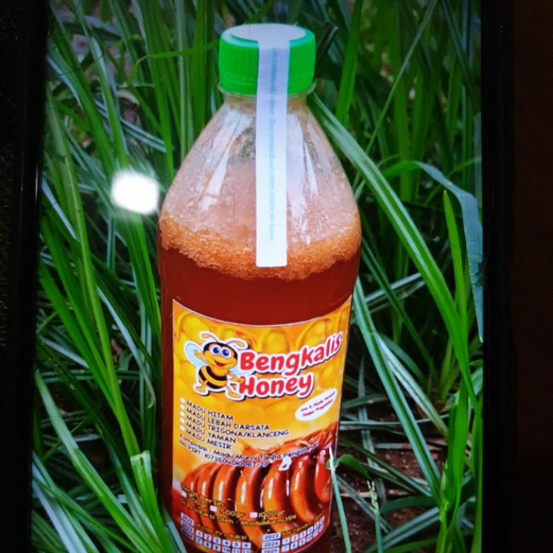 

Madu hutan bangkalis