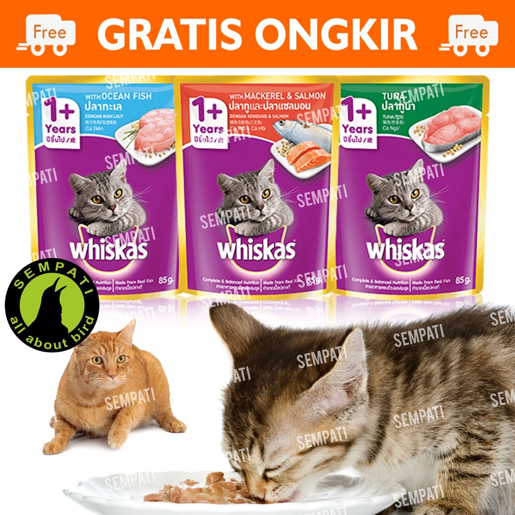 Whiskas Wet Pouch 80 Gram Pakan Makanan Kucing Basah Creamy Kitten Adult Cat Treats Premium Wiskas Kemasan Sachet Snack Cemilan Kucing Anabul Whiskas Wet Cat Food