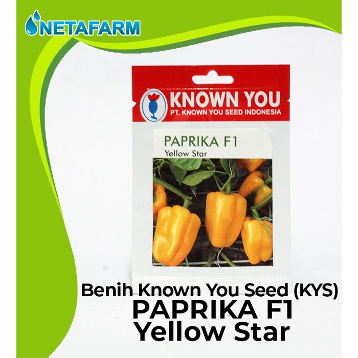 Benih / Biji / Bibit KNOWN YOU SEED KYS PAPRIKA F1 - 1 Pack