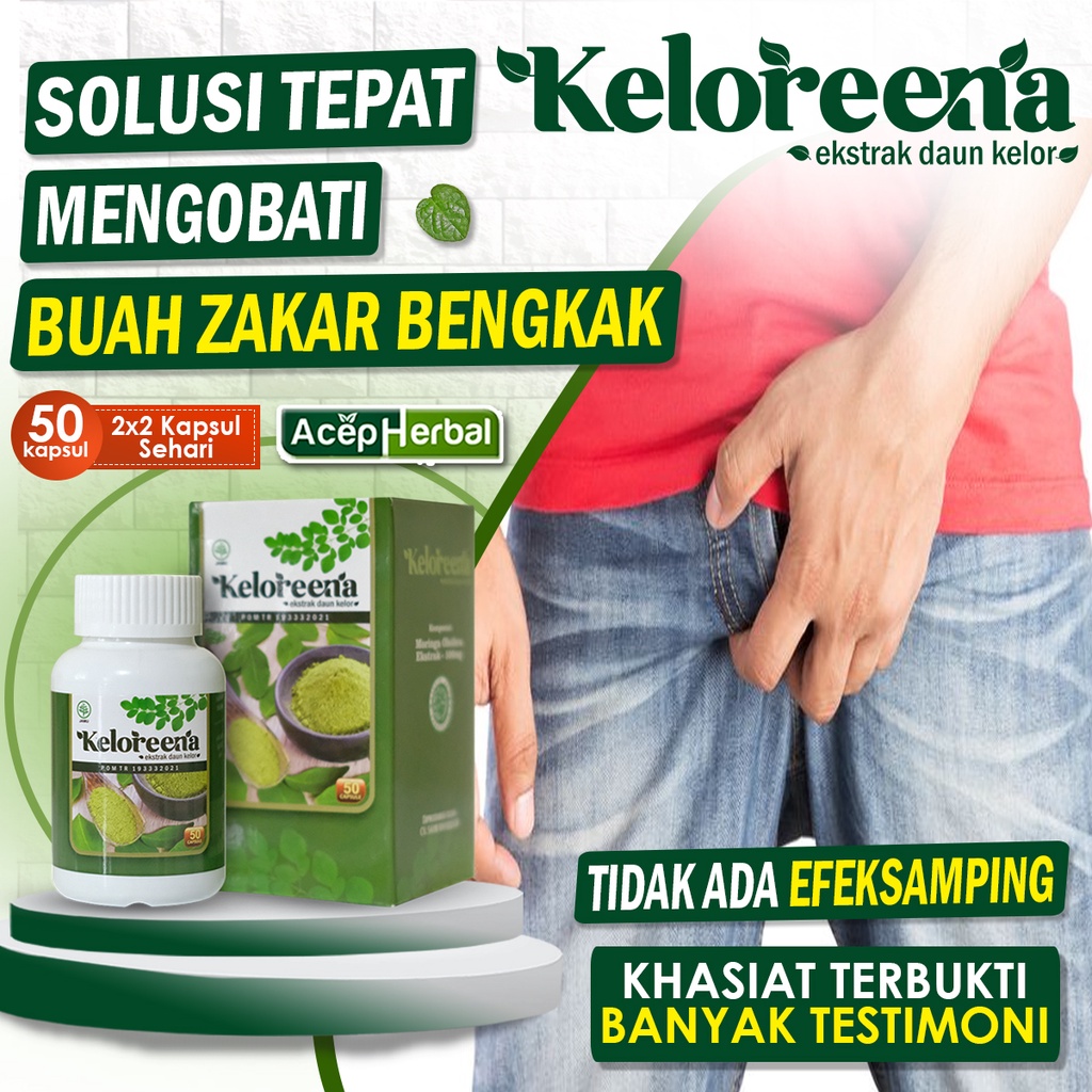 Jual Obat Buah Zakar Bengkak Sebelah Kanan Kiri Varikokel Di Buah Zakar