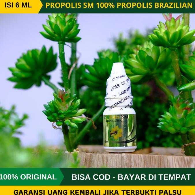 

BISA COD Obat Gangguan Pada Telinga, Obat Telinga Berair Propolis SM Isi 6 ml /OBAT TELINGA BERDENGUNG/OBAT TELINGA BERAIR/OBAT TELINGA TERSUMBAT/OBAT TELINGA BUDEG/OBAT TELINGA BERNANAH