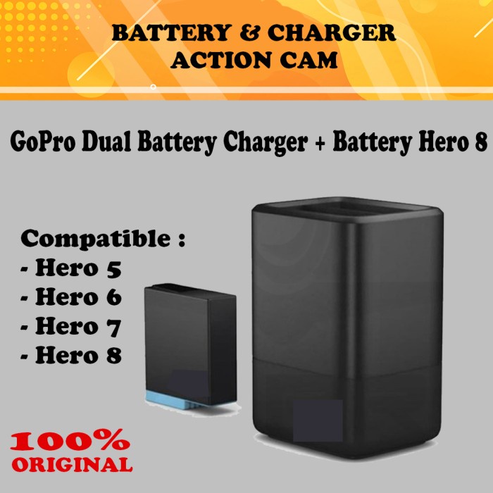 Gopro Hero 8 Dual Charger +1 Battery